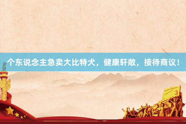 个东说念主急卖大比特犬，健康轩敞，接待商议！